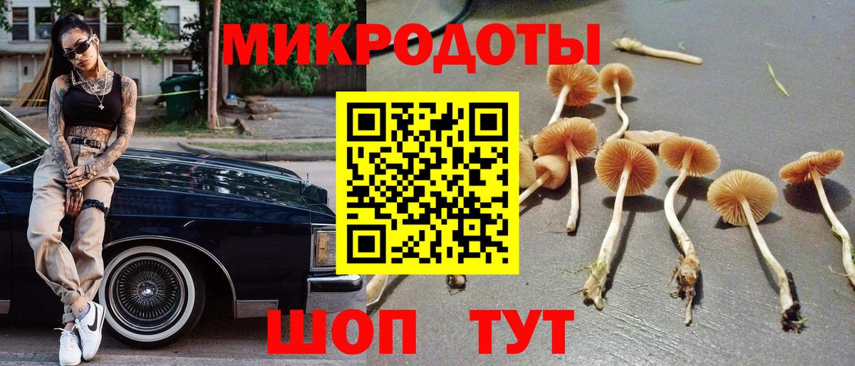 Галлюциногенные грибы Psilocybe Коломна