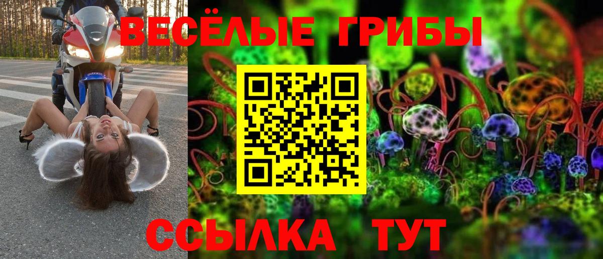 Коломна  Псилоцибиновые грибы ЛСД  сколько стоит  Псилоцибиновые грибы Psilocybe  Вход с VPN 